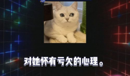 娱乐圈八卦吃瓜直播,揭秘直播间的八卦盛宴