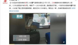 看逼视频,带你领略网络短视频的魅力与争议
