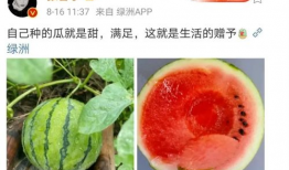 可以吃娱乐圈的瓜,揭秘明星幕后故事